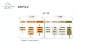 寵物食品銷售 在消費(fèi)升級(jí)浪潮中掘金新藍(lán)海
